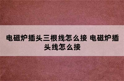 电磁炉插头三根线怎么接 电磁炉插头线怎么接